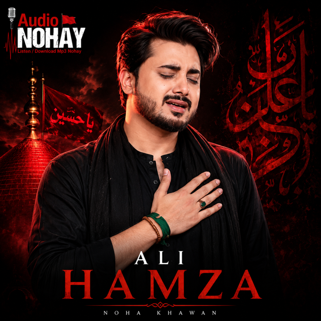 Ali Hamza - Audio Nohay