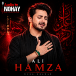 Ali Hamza - Audio Nohay