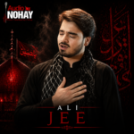 Ali Jee - Audio Nohay