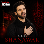 Ali Shanawar - Audio Nohay